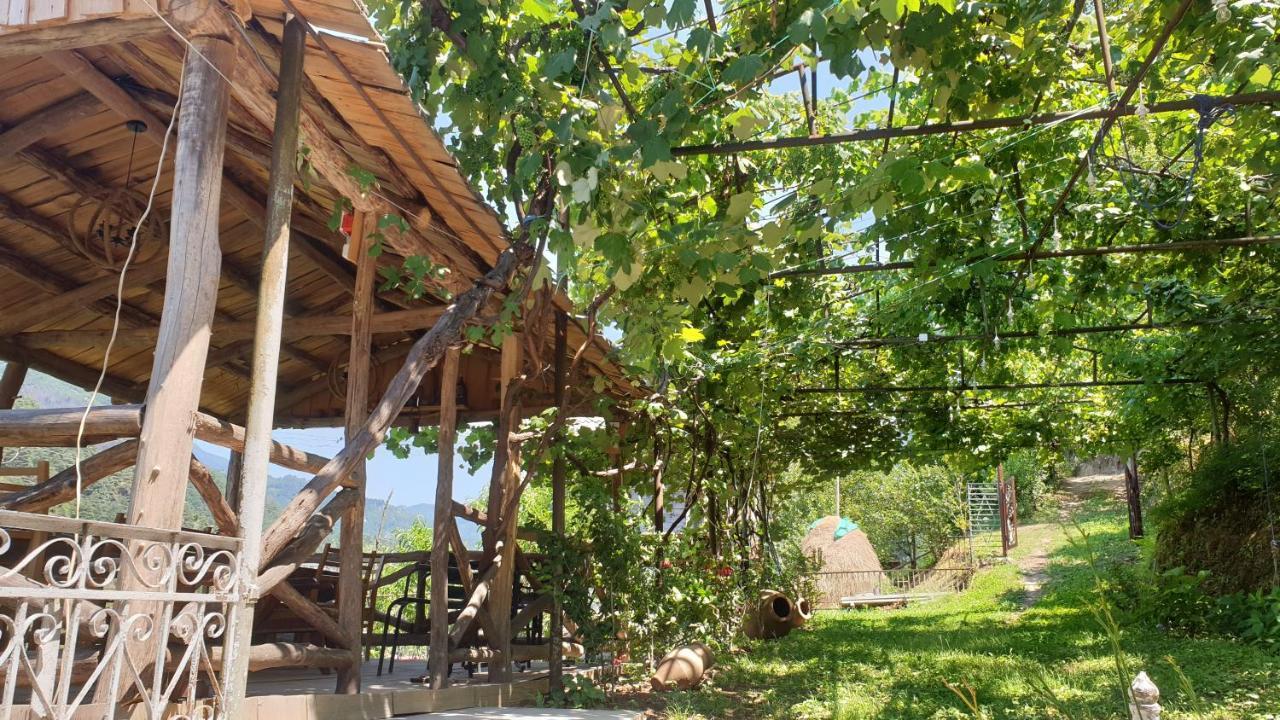 Guest House Okropilauri Shuakhevi Exterior photo